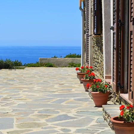Agriturismo Finagliosu Palmadula Екстер'єр фото