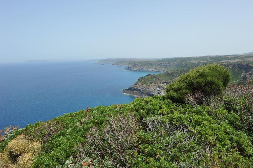 Agriturismo Finagliosu Palmadula Екстер'єр фото