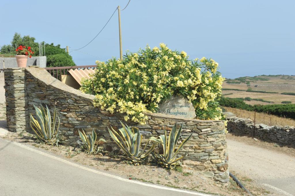 Agriturismo Finagliosu Palmadula Екстер'єр фото